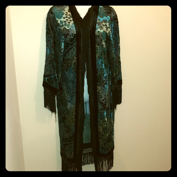 Vintage Black Swan Sheer Fabric & Velvet Robe CA M